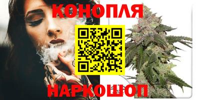 молекула духа Камышлов