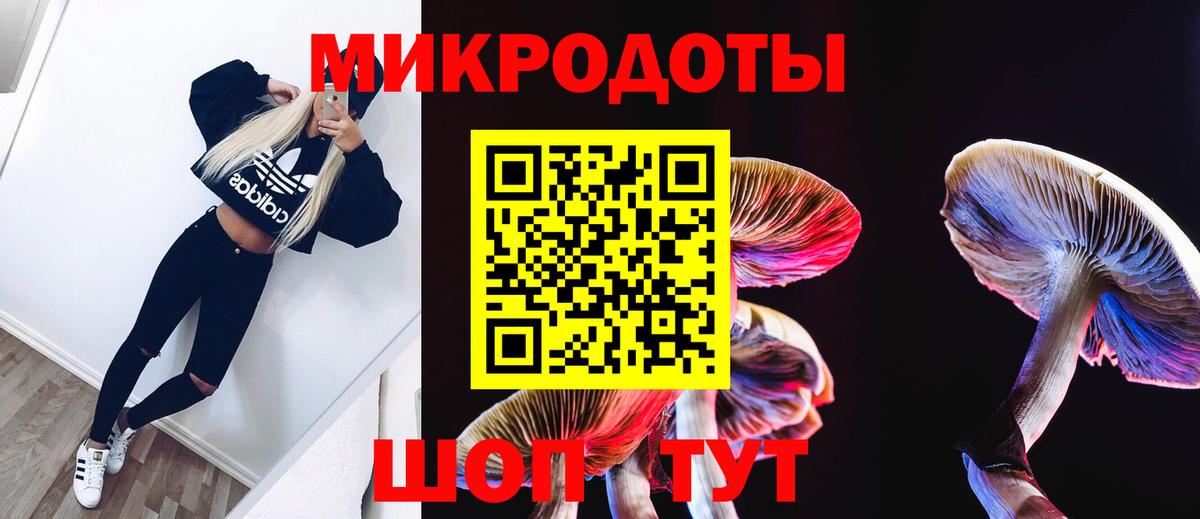 Псилоцибиновые грибы мухоморы Кириши