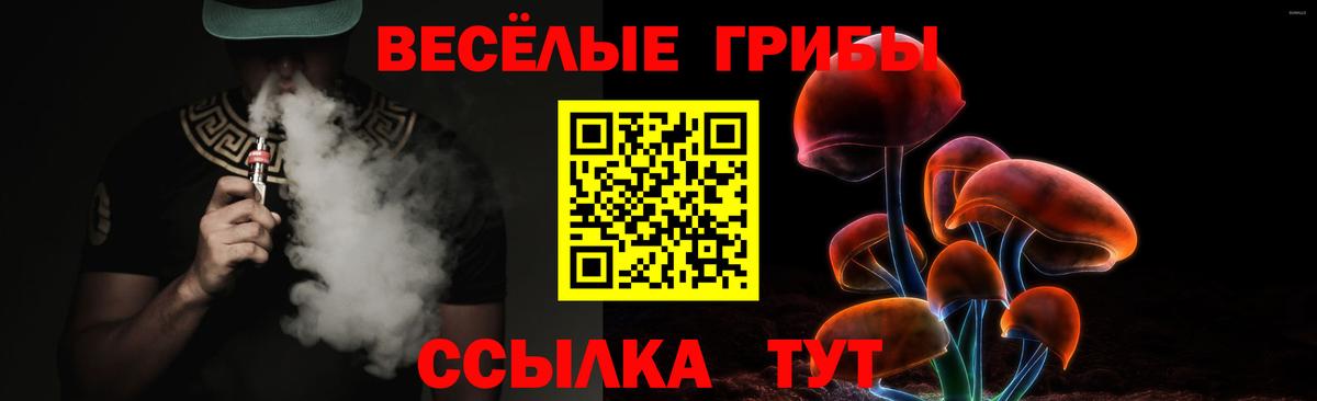 Псилоцибиновые грибы MAGIC MUSHROOMS  Вход с VPN  Кириши  Псилоцибиновые грибы мицелий 